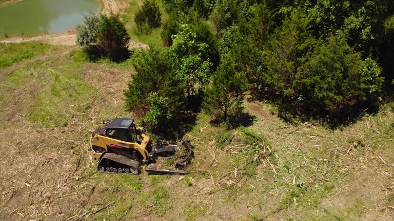 Skid steer with forestry mulcher clearing brush near a pond